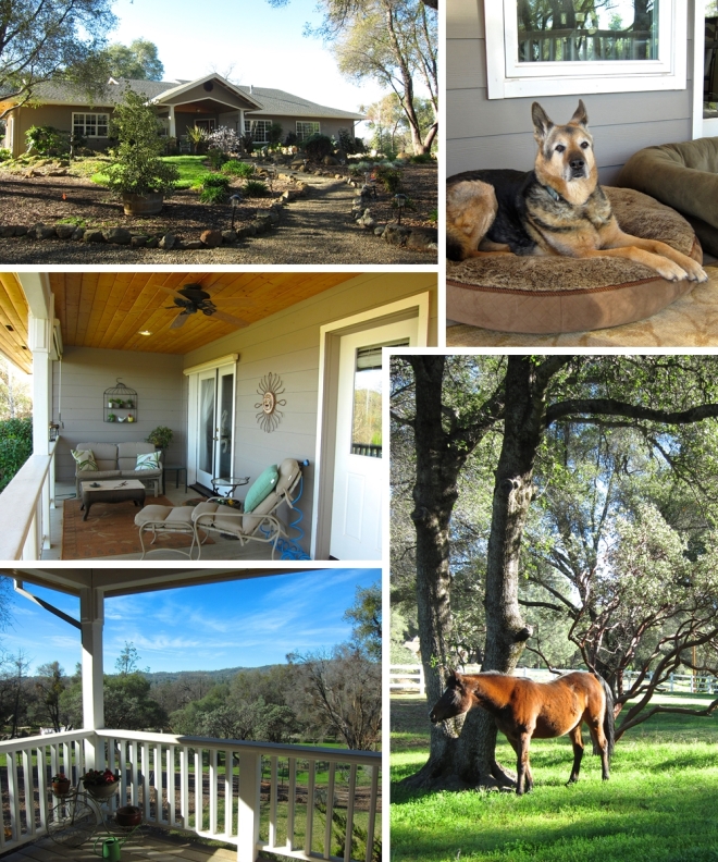 From top left & counter clockwise: Joan's house seen from the driveway, the wrap-around porch, view from the porch, and just 2 of the numerous animals she keeps.
